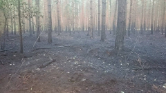 11845964_773520469427538_460604785_n