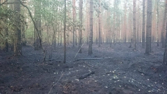 11846086_773520422760876_1267640926_n