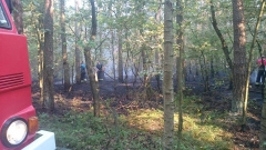 11846189_773520569427528_1460695870_n