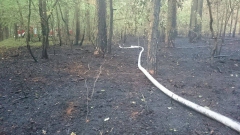 11850868_773520506094201_1226943580_n