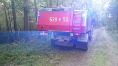 11854093_773520542760864_46140816_n