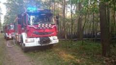 11855476_773520536094198_1762141549_n