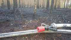 11857569_773520499427535_1672254530_n