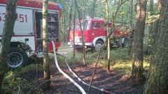 11857607_773520549427530_1063312959_n