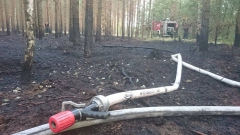 11868830_773520429427542_1930075078_n