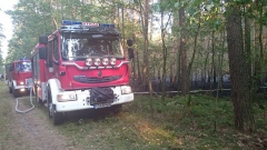 11872828_773520509427534_897564596_n