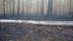 11874051_773520479427537_2047673560_n