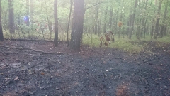 11880897_773520456094206_720880609_n