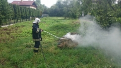 Pożar trawy 27.06.2016