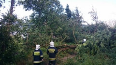 Wichury 17 czerwiec 2016