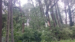 Wichury 17 czerwiec 2016