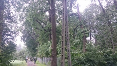 Wichury 17 czerwiec 2016