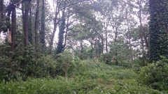 Wichury 17 czerwiec 2016