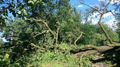 Wichury 17 czerwiec 2016