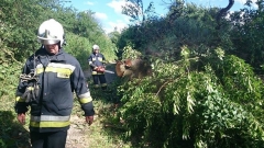 Wichury 17 czerwiec 2016