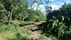 Wichury 17 czerwiec 2016