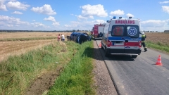 13950480_959982554114661_607746376_o